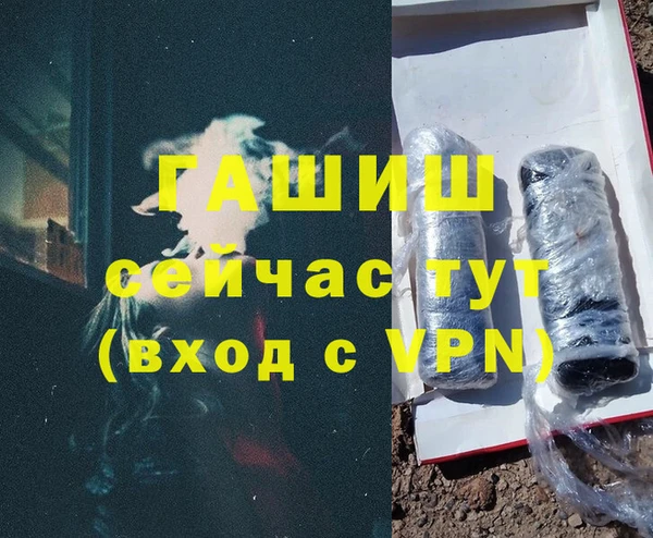 СК Сосновый Бор