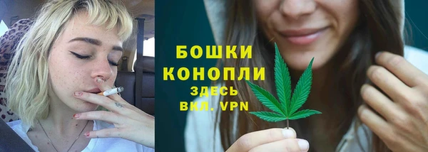 СК Сосновый Бор