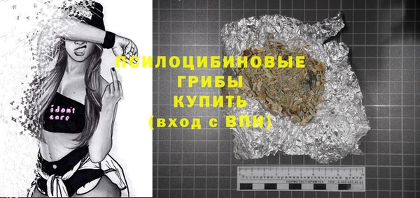 СК Сосновый Бор
