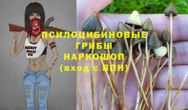 СК Сосновый Бор