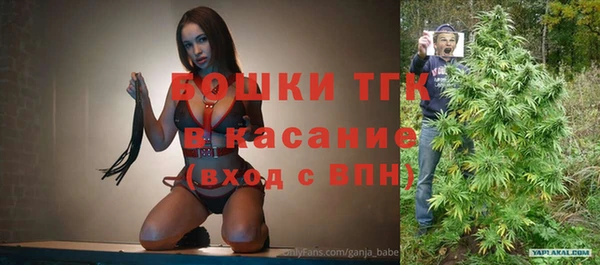 СК Сосновый Бор