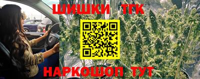 тгк Заводоуковск