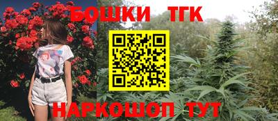 тгк Заводоуковск