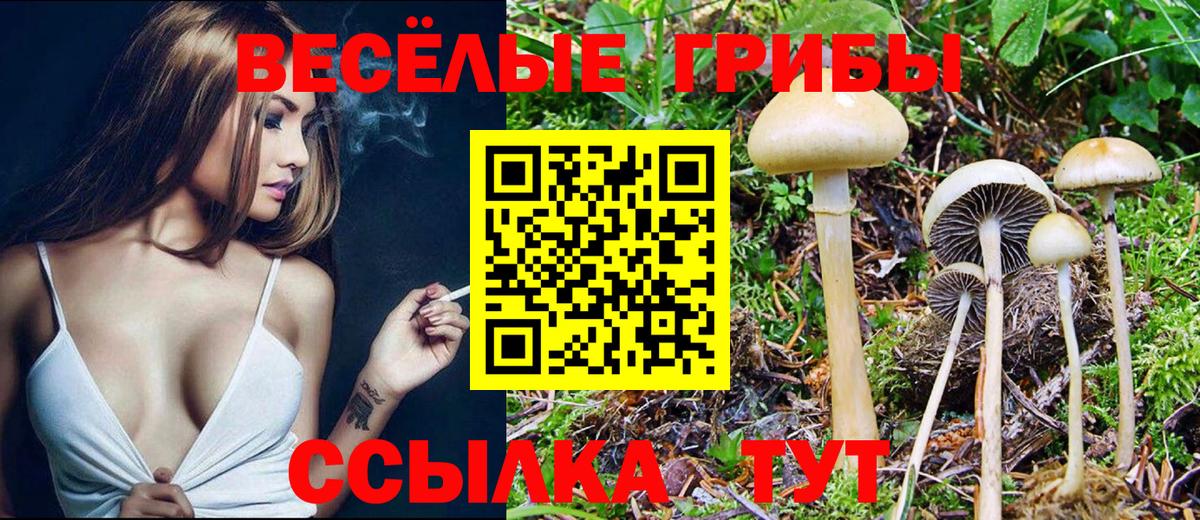 Псилоцибиновые грибы Magic Shrooms Усть-Илимск