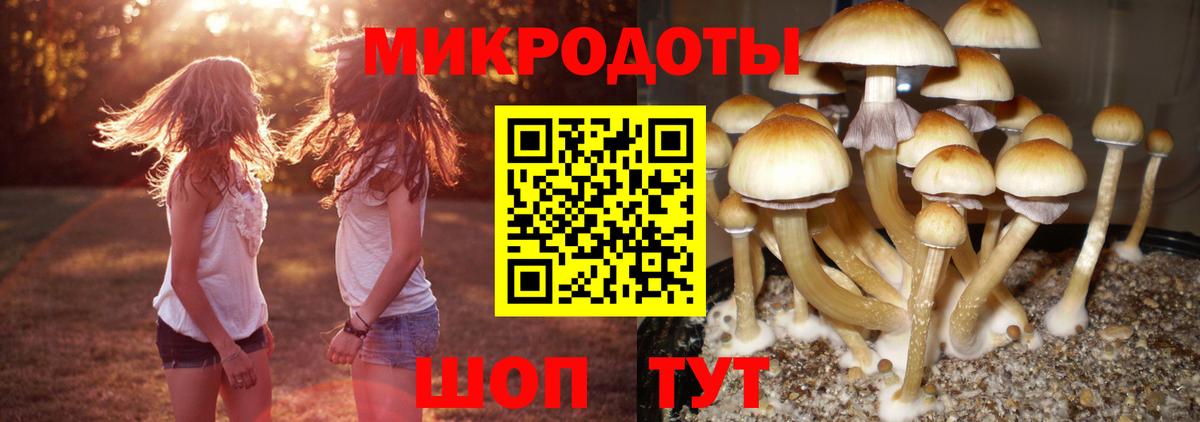 Усть-Илимск  Галлюциногенные грибы прущие грибы  Вход с VPN  Галлюциногенные грибы ЛСД 